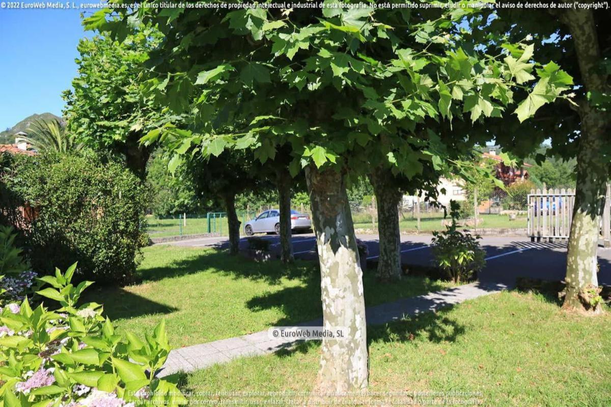 Appartamento El Puentin Del Sella Con Wifi Y Parking Gratuito Onís Esterno foto